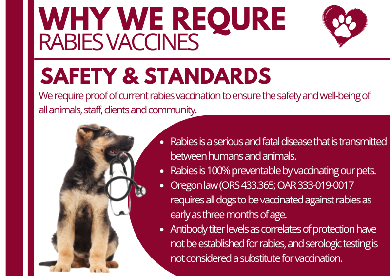 Carousel Slide 3: Learn more about our rabies vaccine policy