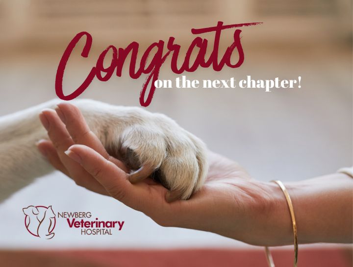 Upcoming Team Updates